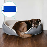 Dog lying on dog bed with Active Ice® Rectangular Universal Cold Therapy System 