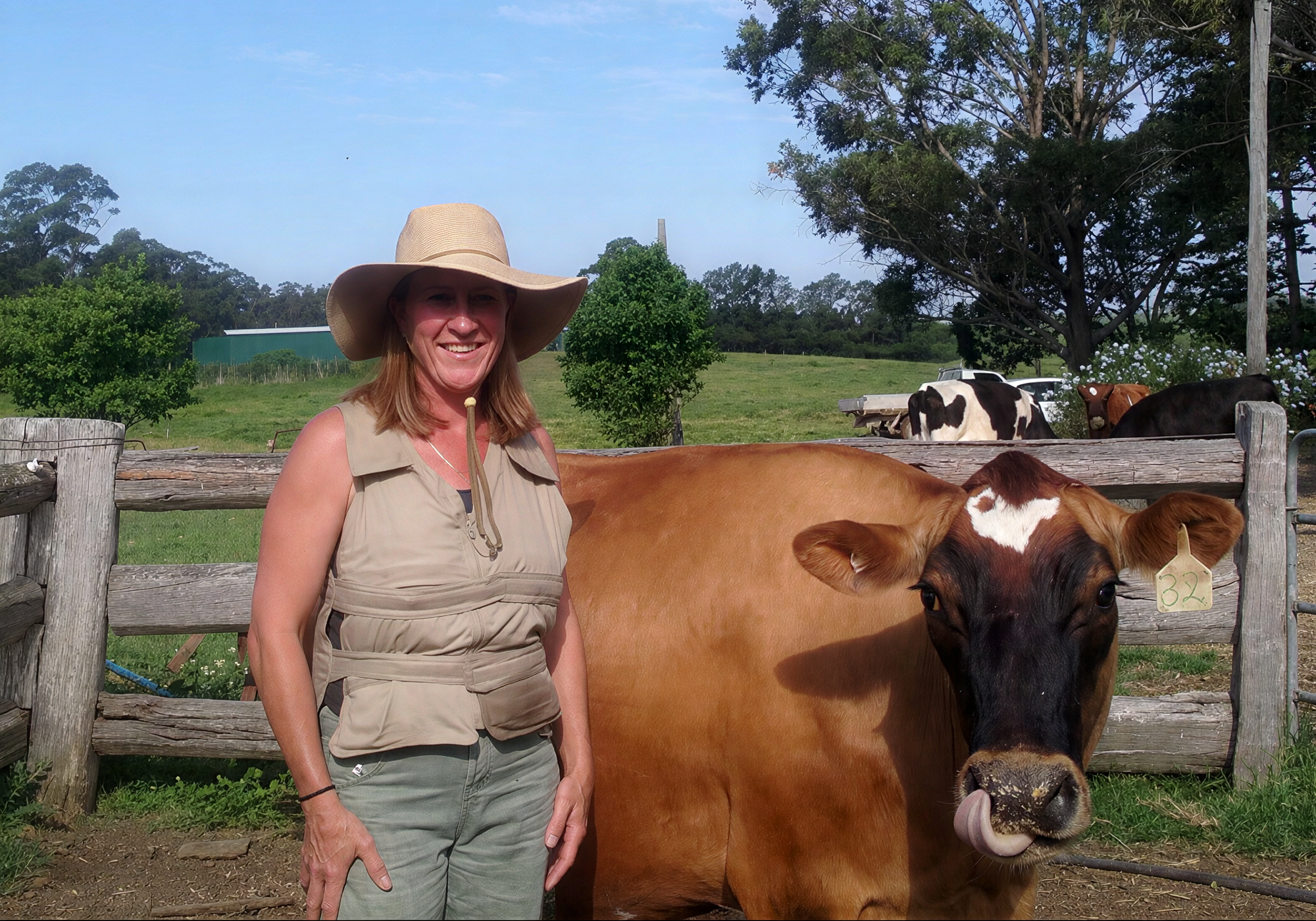A woman wearing a beige cooling wide-brim hat and matching beige adjustable cooling vest stands beside a brown and black cow in a fenced outdoor paddock with trees and other cows in the background.