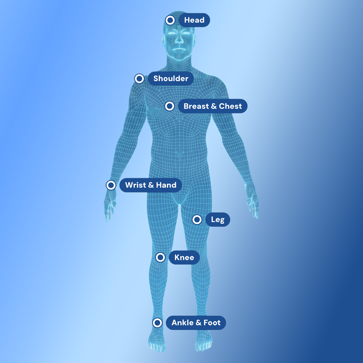 A blue wireframe human figure on a blue gradient background with labeled body areas: Head, Shoulder, Breast & Chest, Wrist & Hand, Leg, Knee, and Ankle & Foot.