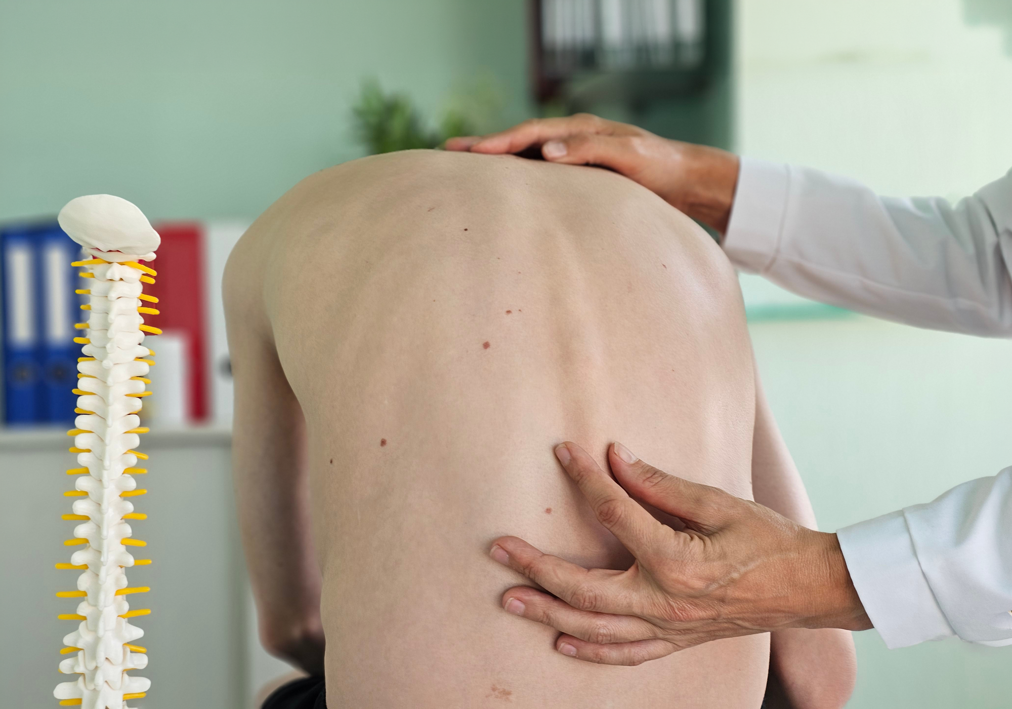 Physician examining a patient's back with a spine model in the background