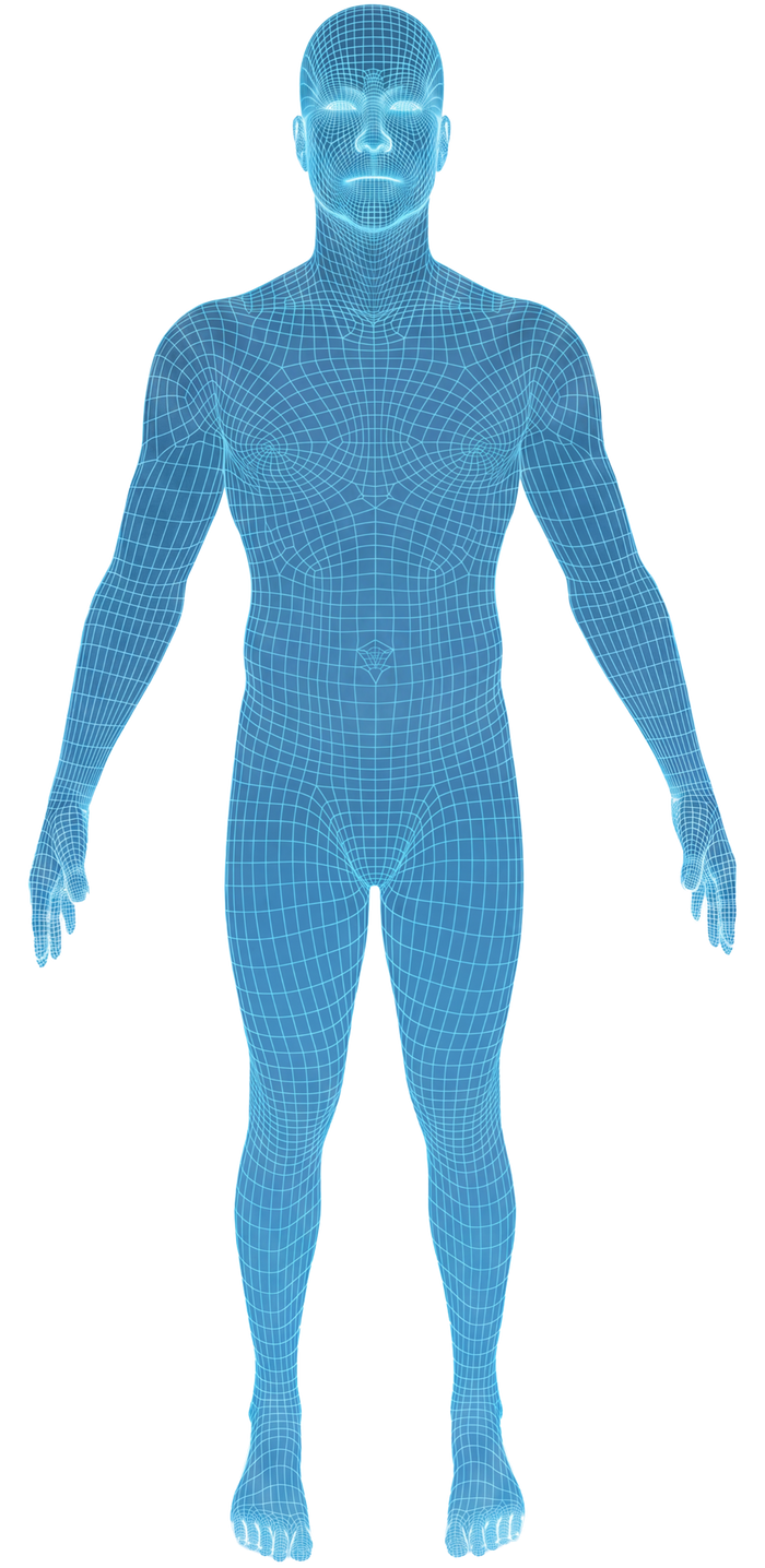 Front view of the body