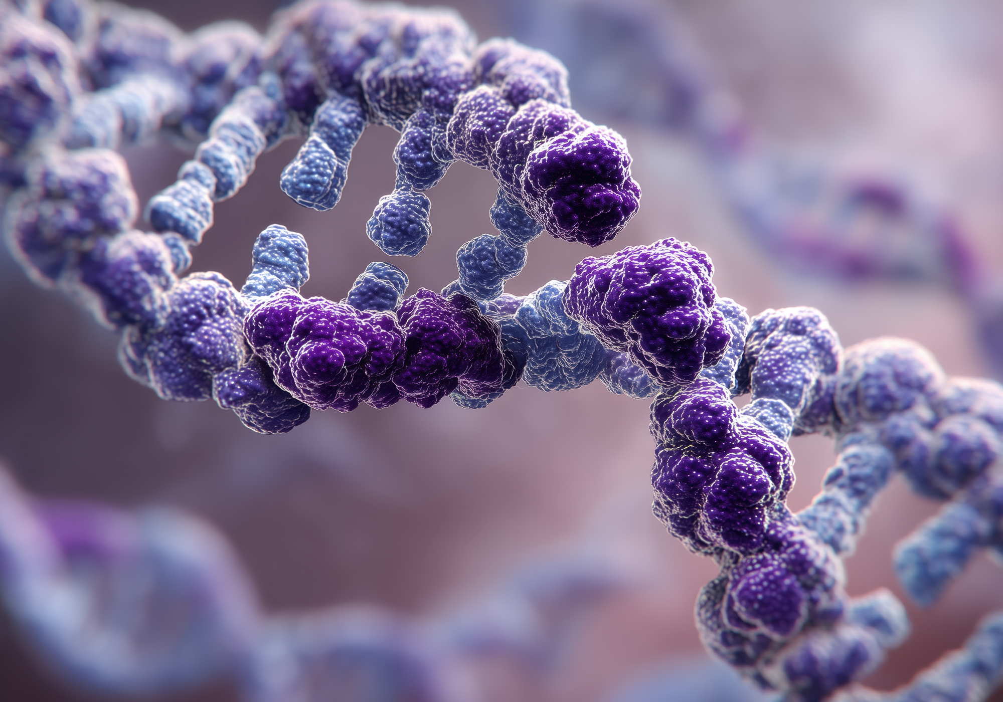 Close-up of a DNA double helix with a blurred background